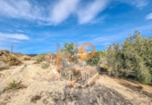 Finca rústica en venda a la España, Huércal-Overa, ref.: TR399467 foto