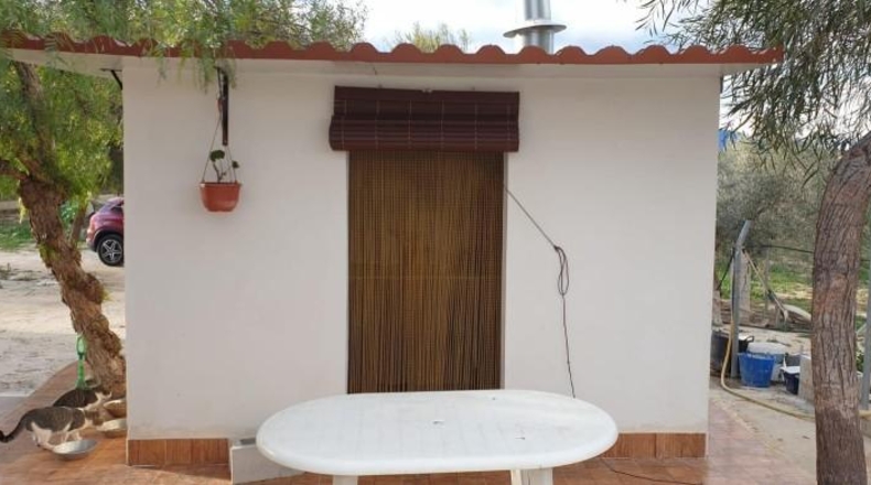Alicante - Aspe - 13000m2