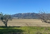 Finca rústica en venta en la España, la Ràpita, ref: TR388418 foto