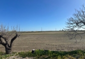 Finca rústica en venta en la España, la Ràpita, ref: TR388418 foto