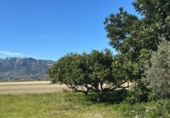 Finca rústica en venta en la España, la Ràpita, ref: TR388418 foto