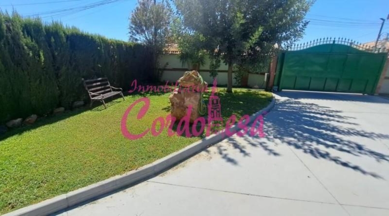 Córdoba - Belmez - 1500m2