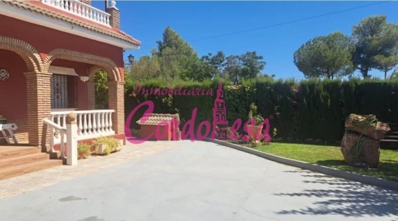 Córdoba - Belmez - 1500m2