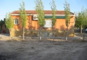 Casa de camp amb terreny en venda a la España, Cartagena, ref.: TR397972 foto