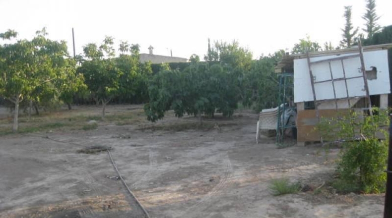 Murcia - Cartagena - 2300m2