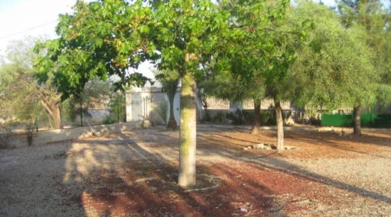 Murcia - Cartagena - 2300m2