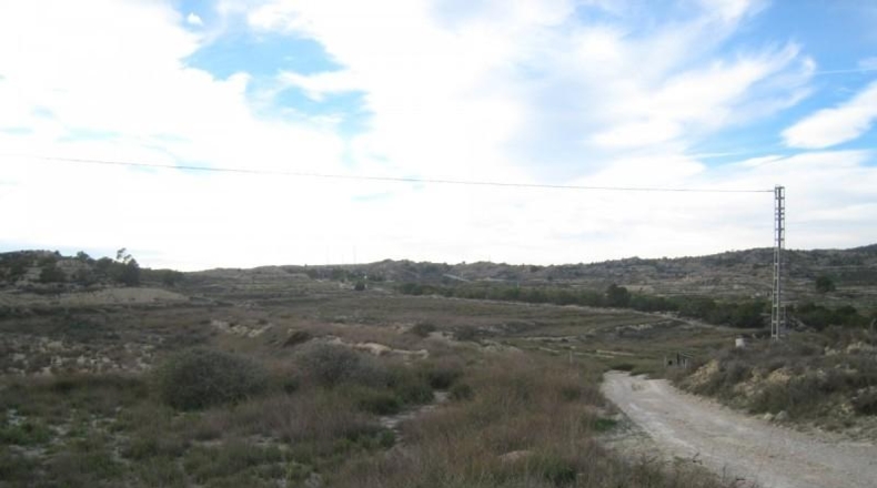 Burgos - Rebolledo de la Torre - 45629m2