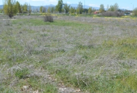 Àvila 3150&nbsp;m² 
