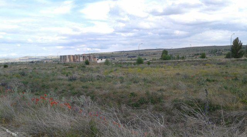Ávila - Ávila - 3150m2