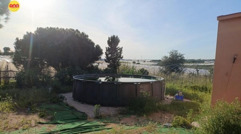Murcia - Alcantarilla - 6000m2