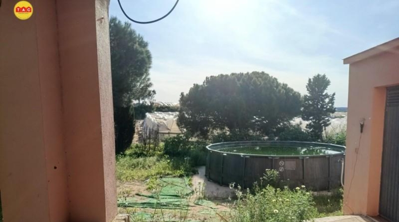Murcia - Alcantarilla - 6000m2