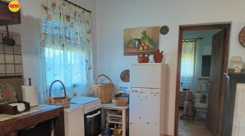 Murcia - Alcantarilla - 6000m2