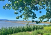 Загородный дом с участком на продажу в городе Deltebre Фото