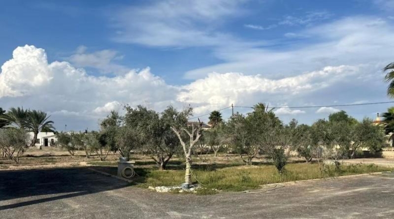 Murcia - Mazarrón - 5000m2