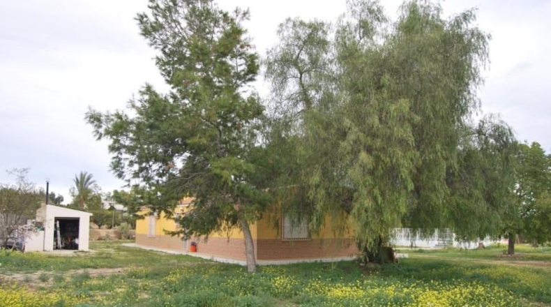 Murcia - Murcia - 5400m2