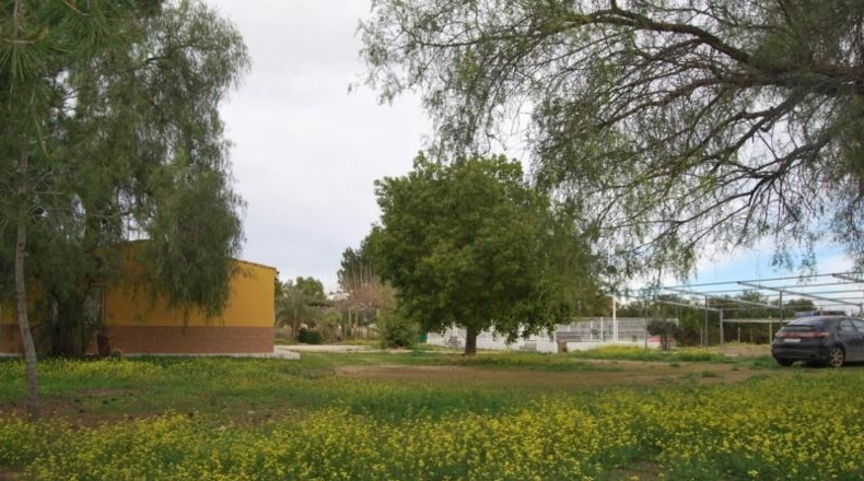 Murcia - Murcia - 5400m2