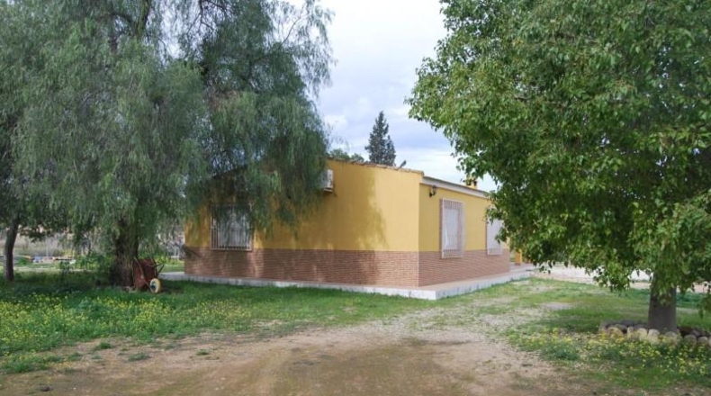 Murcia - Murcia - 5400m2