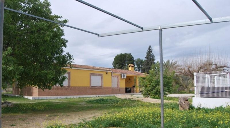 Murcia - Murcia - 5400m2