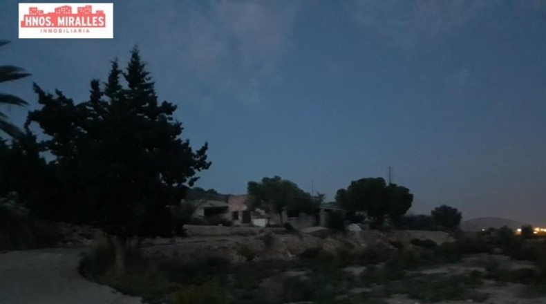 Alicante - Elche - 55000m2