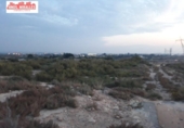 Xalet independent amb terreny en venda a la España, Elx, ref.: TR399310 foto