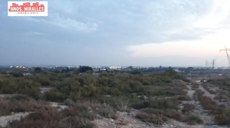 Alicante - Elche - 55000m2