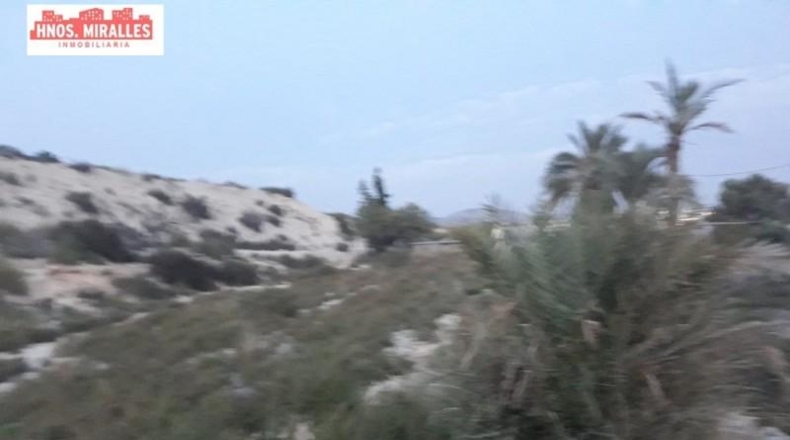 Alicante - Elche - 55000m2