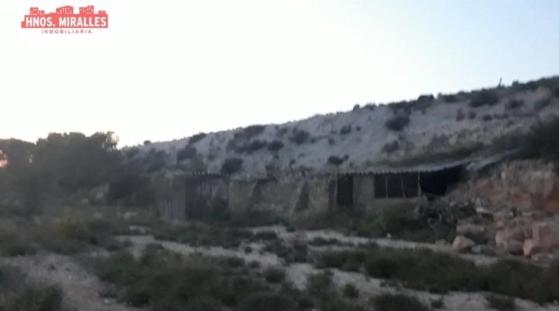 Alicante - Elche - 55000m2