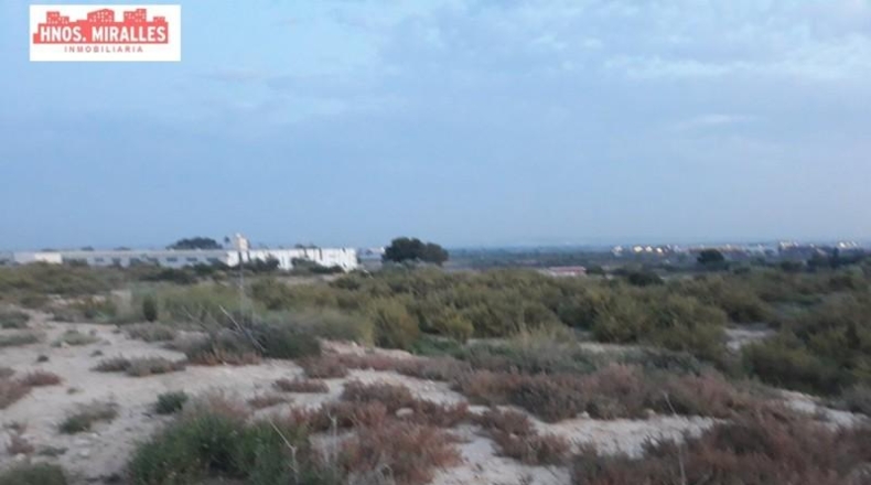 Alicante - Elche - 55000m2