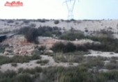 Xalet independent amb terreny en venda a la España, Elx, ref.: TR399310 foto