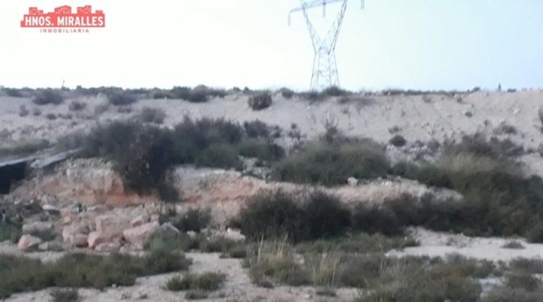 Alicante - Elche - 55000m2