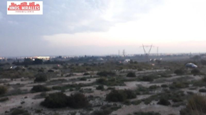 Alicante - Elche - 55000m2