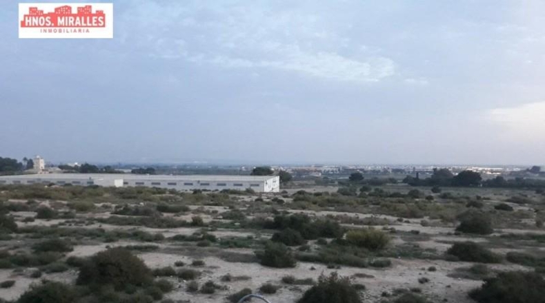 Alicante - Elche - 55000m2
