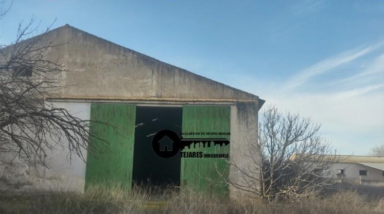 Murcia - La Gineta - 6875m2