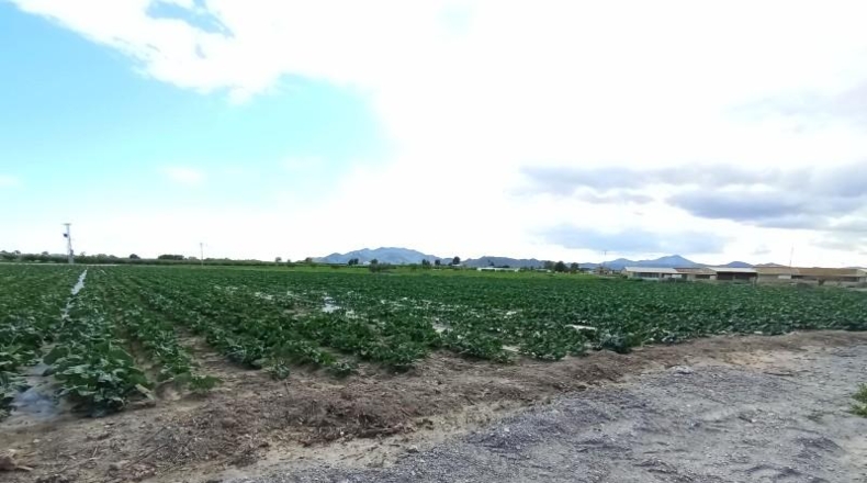 Cádiz - El Puerto de Santa María - 23000m2