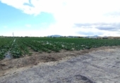 Chalet independiente con terreno en venta en la España, Puerto Lumbreras, ref: TR397977 foto