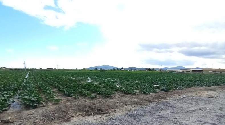 Cádiz - El Puerto de Santa María - 23000m2