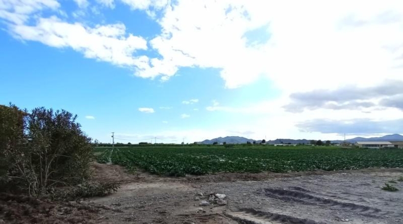 Cádiz - El Puerto de Santa María - 23000m2