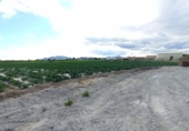 Chalet independiente con terreno en venta en la España, Puerto Lumbreras, ref: TR397977 foto