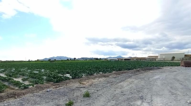 Cádiz - El Puerto de Santa María - 23000m2