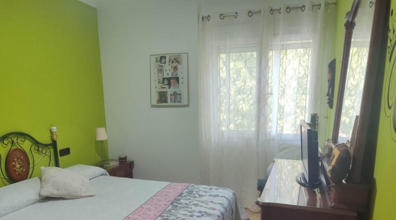 Albacete - Almansa - 150000m2