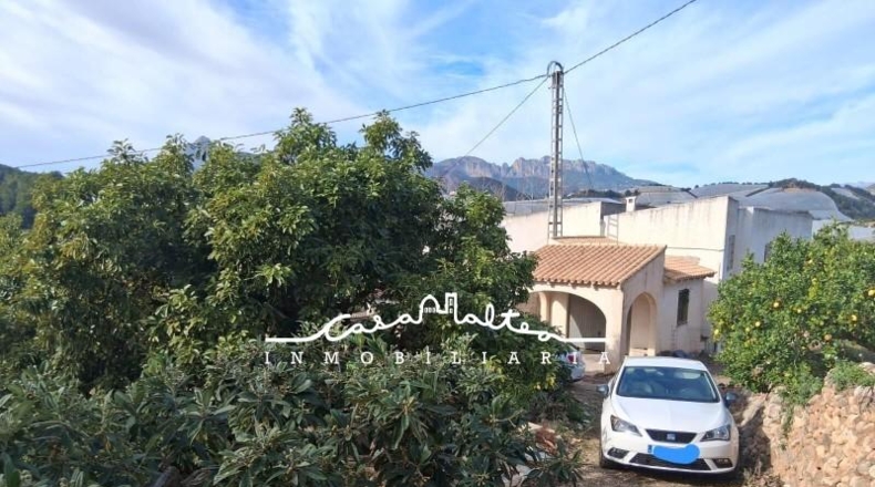 Alicante - Callosa de Ensarriá - 11000m2