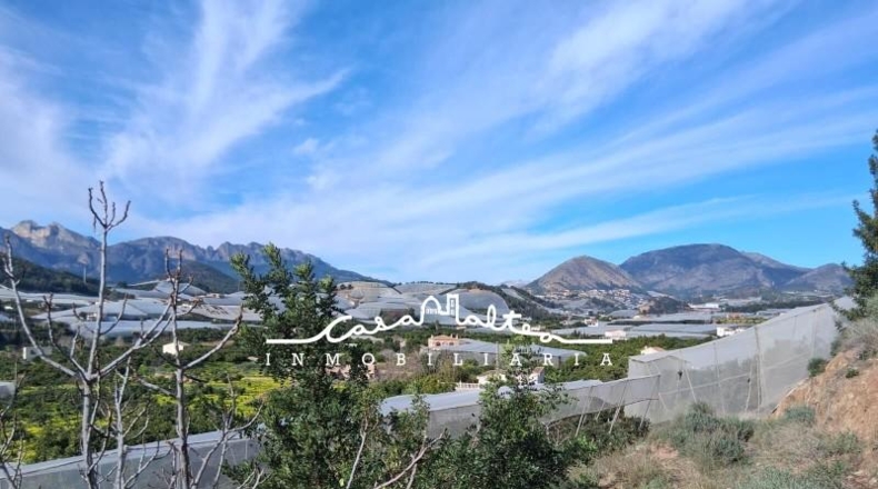 Alicante - Callosa de Ensarriá - 11000m2