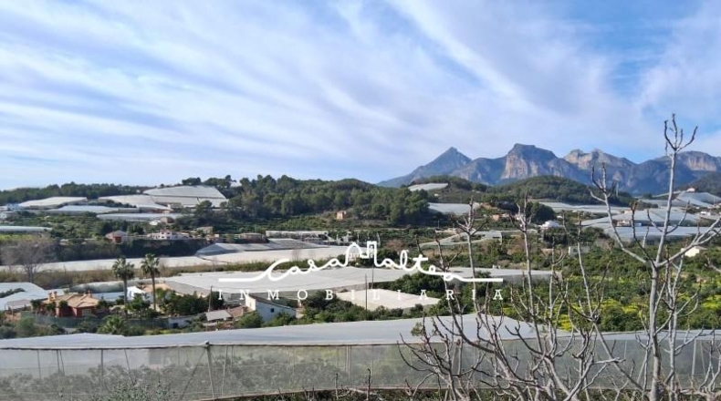 Alicante - Callosa de Ensarriá - 11000m2