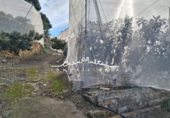 Casa de camp amb terreny en venda a la España, Altea, ref.: TR399694 foto
