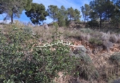 Casa de camp amb terreny en venda a la España, Altea, ref.: TR399694 foto