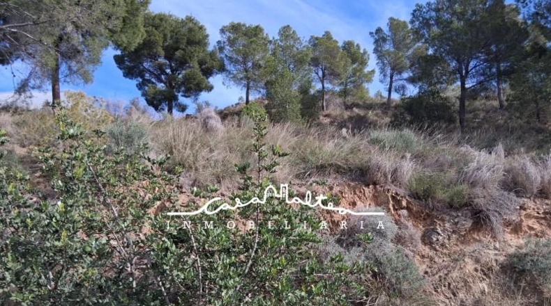 Alicante - Callosa de Ensarriá - 11000m2