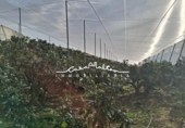 Casa de camp amb terreny en venda a la España, Altea, ref.: TR399694 foto