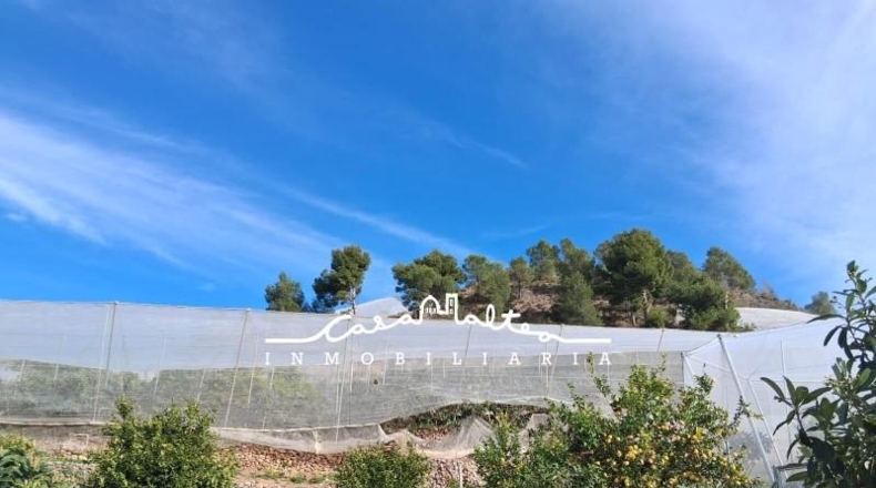Alicante - Callosa de Ensarriá - 11000m2