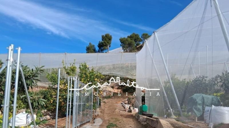 Alicante - Callosa de Ensarriá - 11000m2