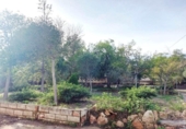 Detached villa with land for sale on España, Llíria, ref: TR388479 photo